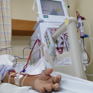 Hơn 10 triệu người Việt mắc bệnh thận mạn tính