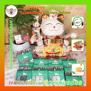 Kẹo Ngậm Phòng The-Kẹo Phòng The-Kẹo Ngậm Thổi Kèn-Kẹo Ngậm Mastic Mint-Hương Bạc Hà-Shop Bao Cao Su Quận 1