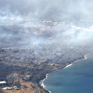 Bão lửa Hawaii là thảm họa 'có thể đoán trước'