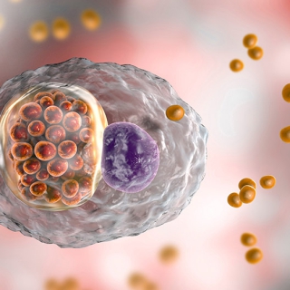 11 Căn Bệnh Lây Qua Đường Tình Dục Nguy Hiểm Có Thể Bạn Chưa Biết