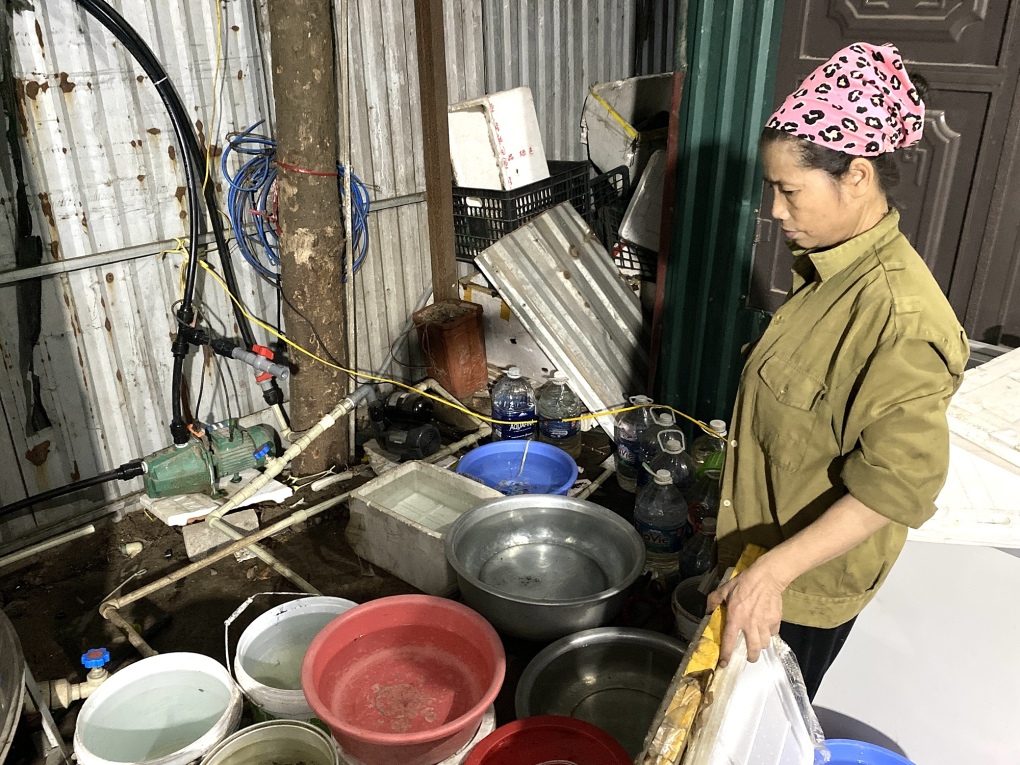 Điêu đứng vì cắt nước luân phiên